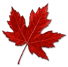 modinno_canadian_leaf